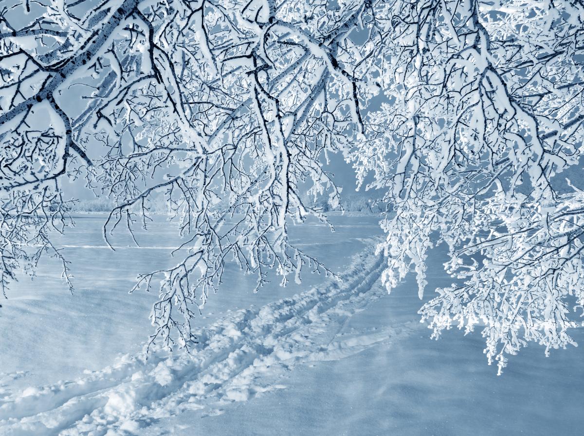 ძლიერი თოვა, ქარბუქი, გზებზე ლიპყინული – დასავლეთ საქართველოში ამინდი გაუარესდება
