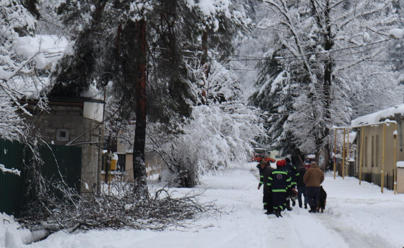 თოვლმა ონის მუნიციპალიტეტში ხეები წააქცია, შეფერხებულია მოძრაობა