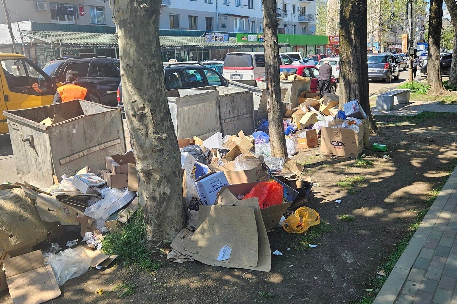 “ქუთაისში, ავტოქარხნის დასახლებაში 4 სანაგვე ურნა ფაქტიურად ცარიელია და ნაგავი ყრია ძირს”